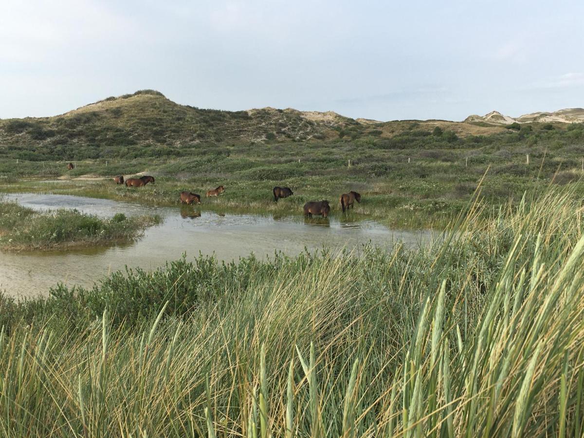 De Duinlopers - Studio Appt Bries - Strand, Duinen En Nabij Cultuur Steden Castricum Eksteriør billede