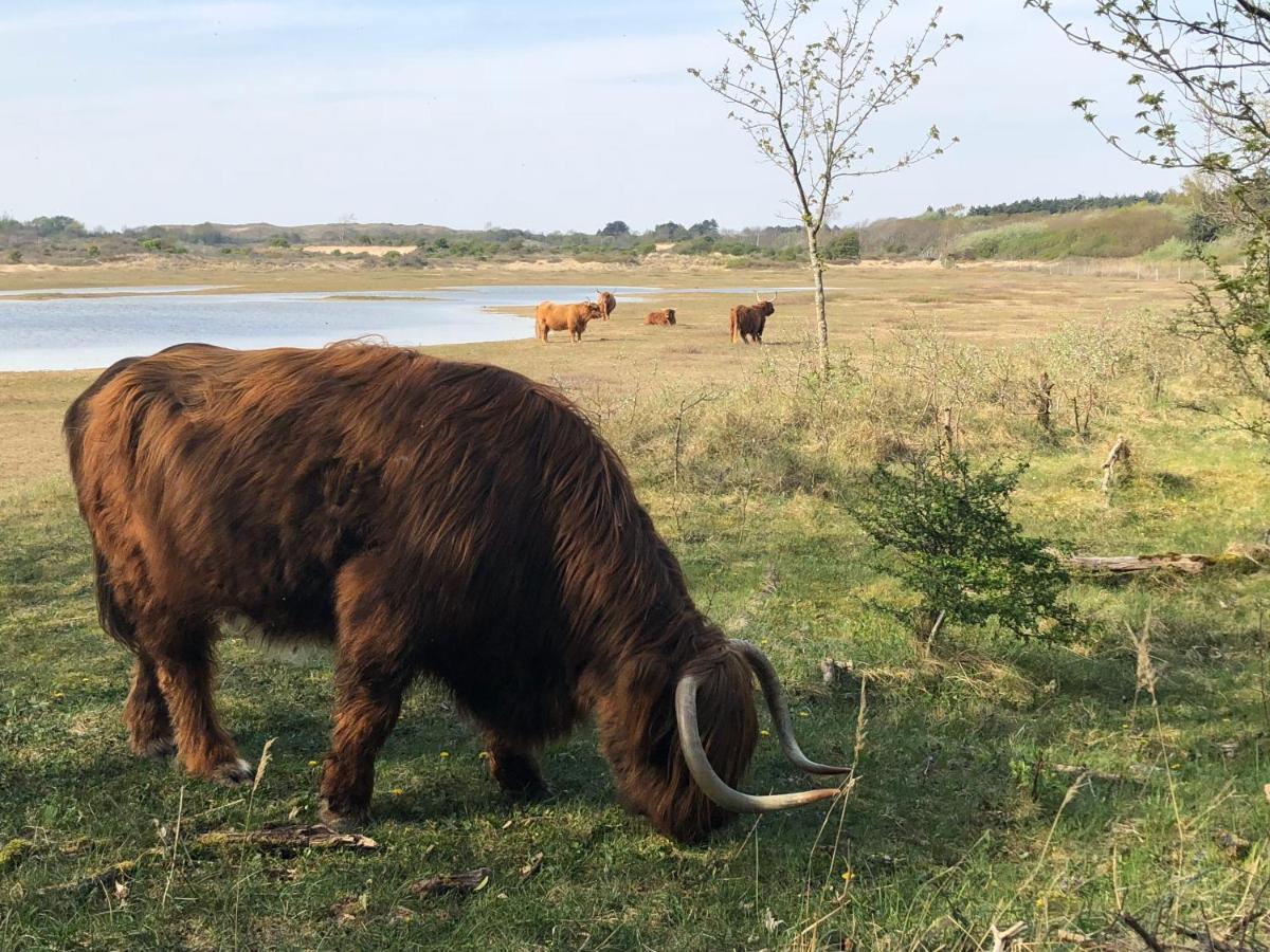 De Duinlopers - Studio Appt Bries - Strand, Duinen En Nabij Cultuur Steden Castricum Eksteriør billede
