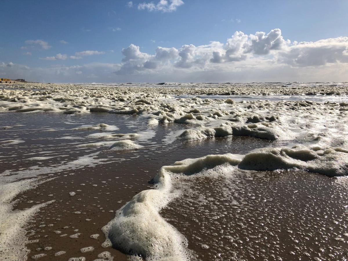 De Duinlopers - Studio Appt Bries - Strand, Duinen En Nabij Cultuur Steden Castricum Eksteriør billede